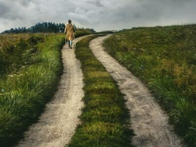 adam_tumidajewicz-path-6567149_1920 adam_tumidajewicz-path-6567149_1920